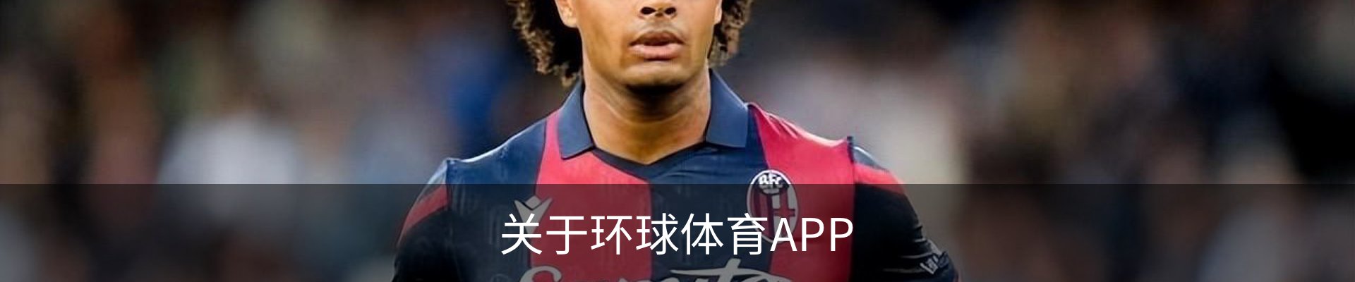 关于环球体育APP